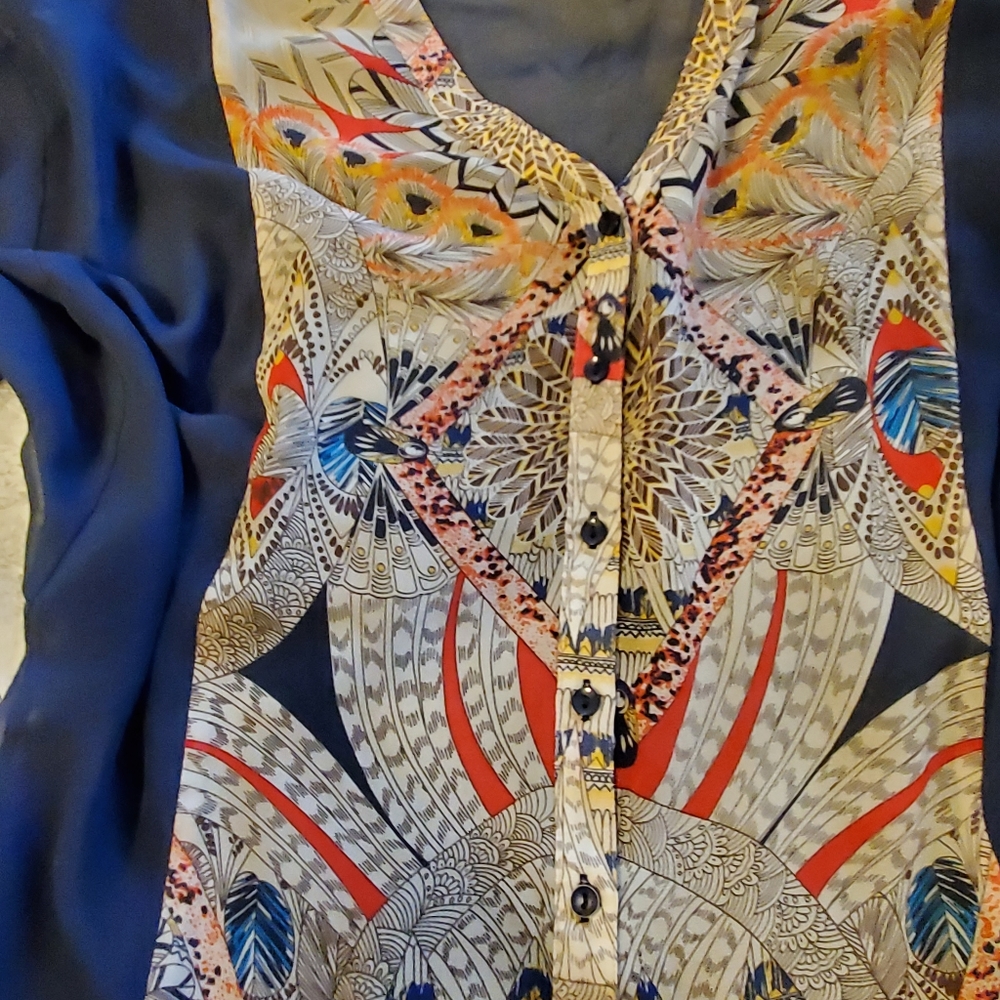 Sheer Button Up - image 3